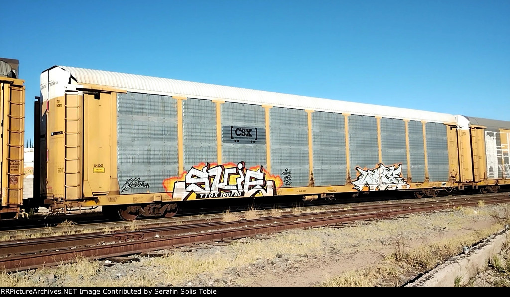 CSX B8001 TTGX 160780